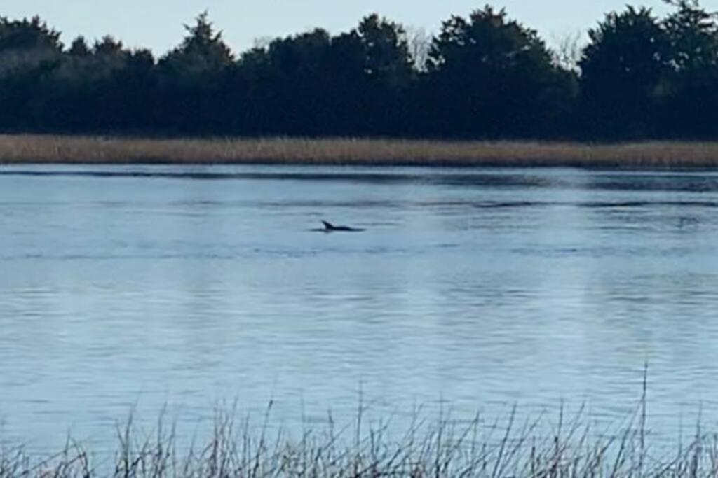 Dolphin Cove - Whole Waterfront House With Dock Villa Ocean Isle Beach Eksteriør billede
